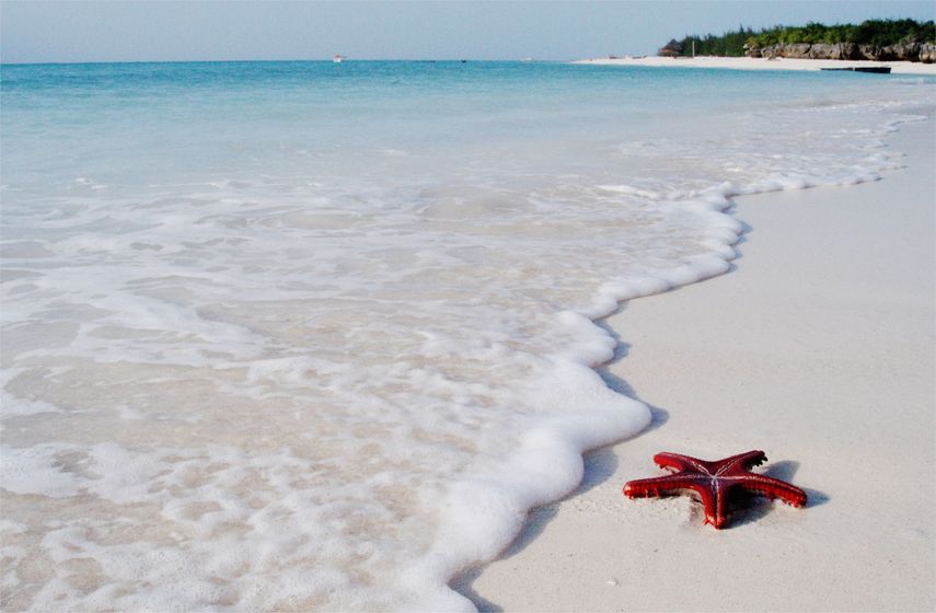 Kwenda Beach Zanibar