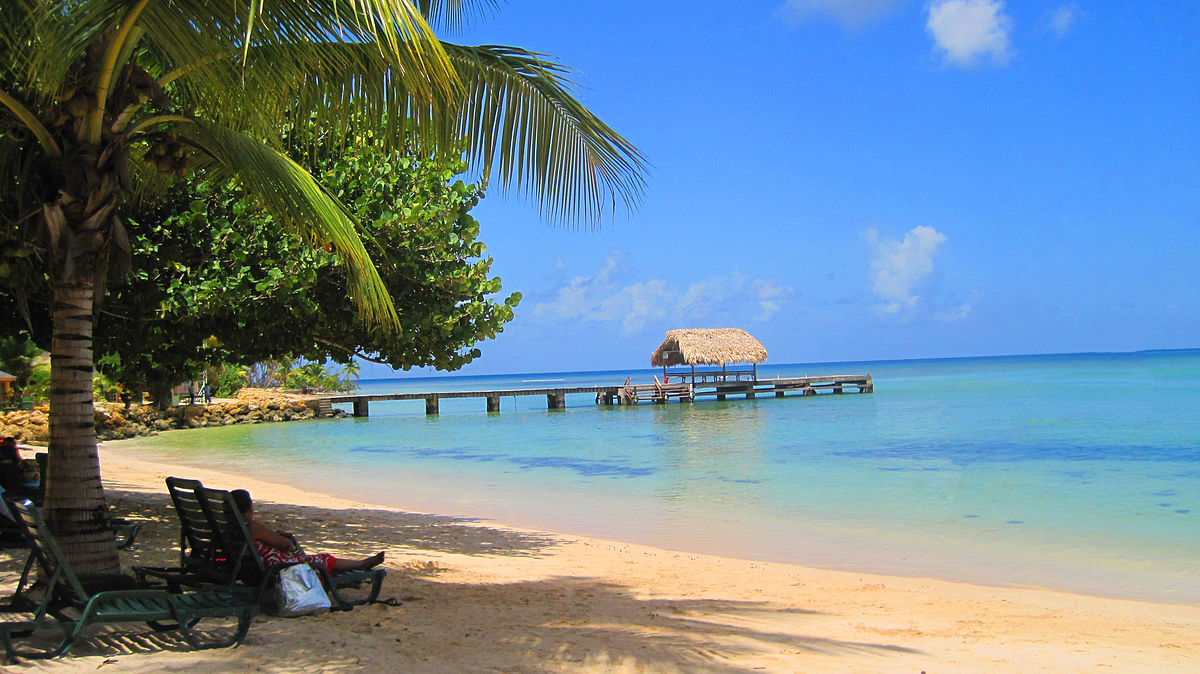 Villas in Tobago Pigeon Point Tobago