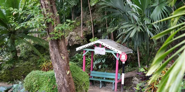 Things to do in Barbados