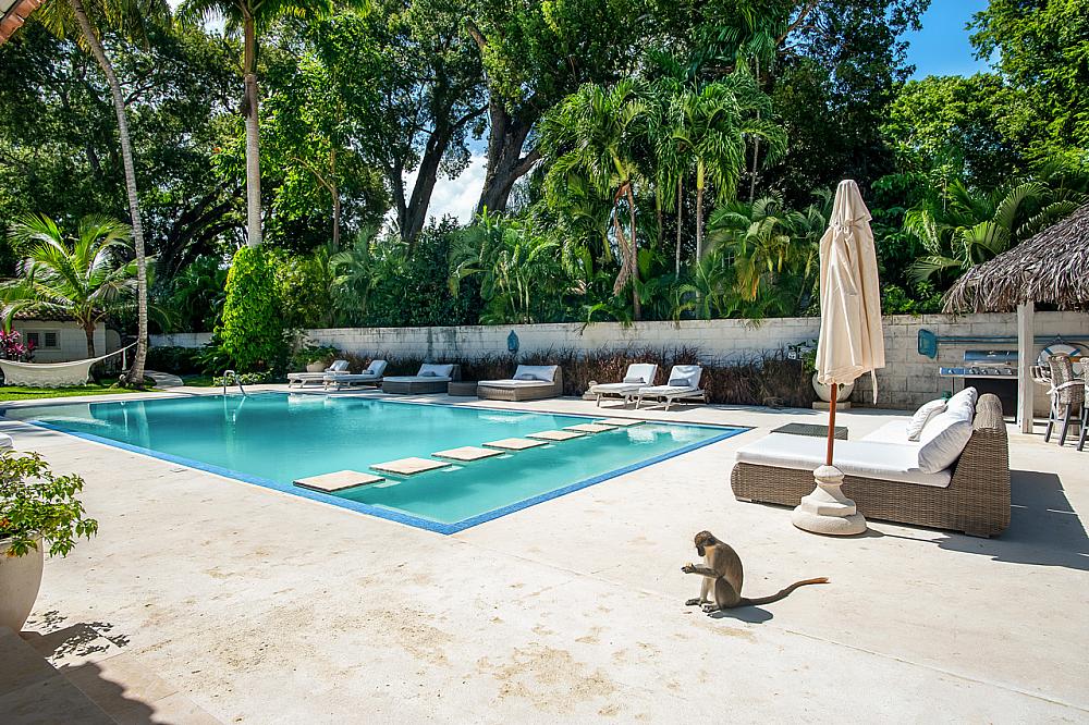 Villa Melissa Barbados villas with private pool