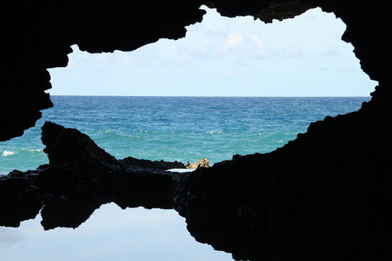 Animal Flower Cave Barbados