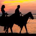 horse riding in Barbados